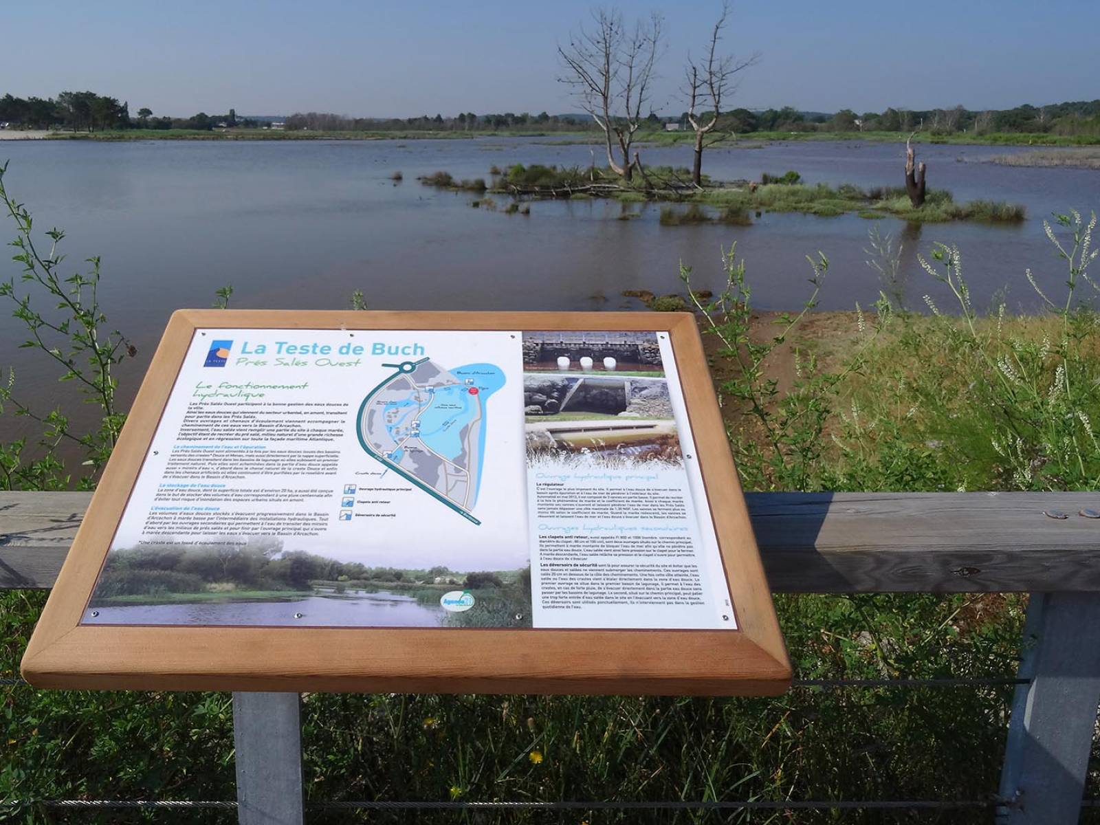 Location et livraison à domicile de vélo tout chemin (VTC), à La Teste de Buch, Cazaux, Arcachon et le Pyla-sur-Mer
