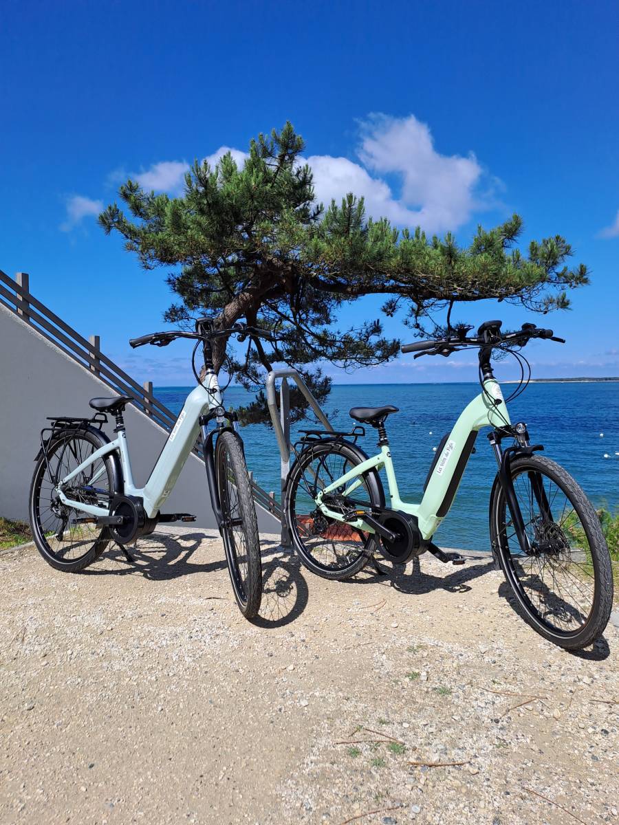 Pour séminaire ou rendez-vous professionnel déplacez vous en vélo électrique premium