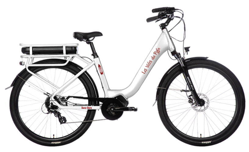 location et livraison à domicile de vélo à assistance électrique VAE 28 pouces à partir de 30€ la journée