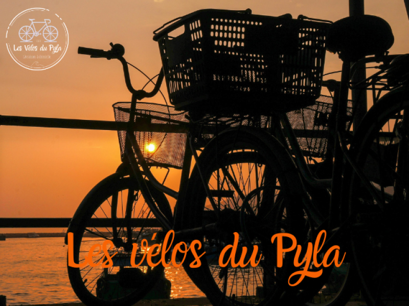 Magnifique couché de soleil sur le banc d'arguin avec 