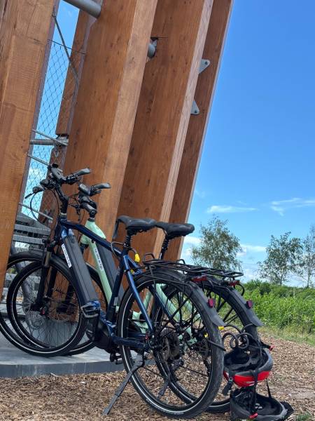 Location et Livraison VAE au meilleur prix pour les vacances en familles