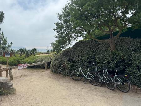 Nos prestations sur le secteur de à Arcachon (33120), Gironde