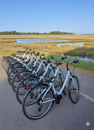 Nos prestations sur le secteur de à Pyla-sur-Mer (33115), Gironde
